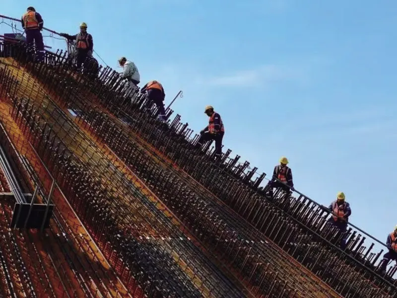 Sanwan Nuclear Power Plant Project