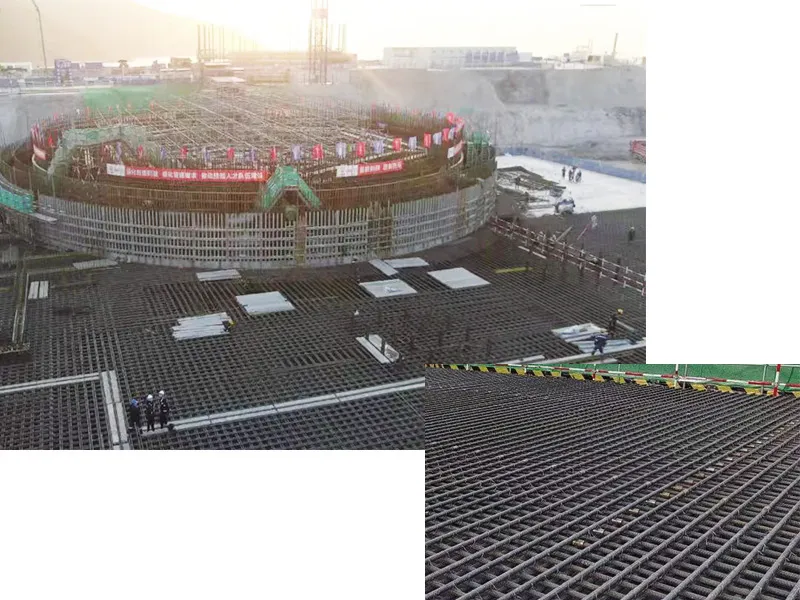 Sanwan Nuclear Power Plant Project